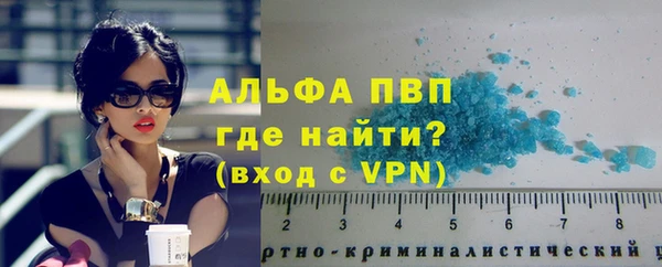 сатива Надым