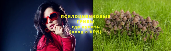 соль курить ск Нея