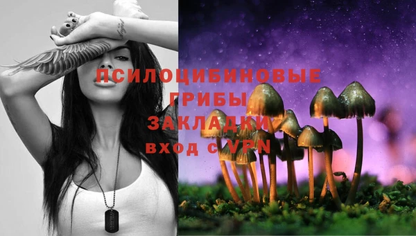 шишки Нефтекумск