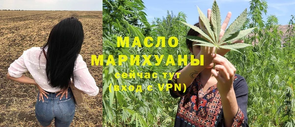 индика Наволоки