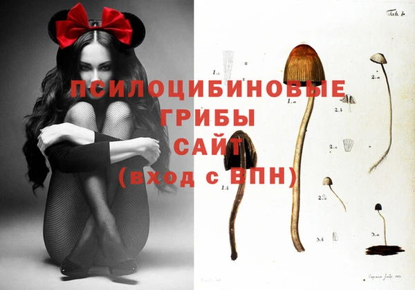 сатива Надым