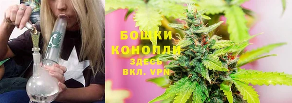 шишки Нефтекумск